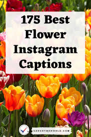 1,178 likes · 3 talking about this · 108 were here. 175 Best Instagram Captions For Flower Photos 2021
