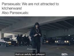 Титры directed by robert b weide theme meme. Punny Pansexual Memes Are A Dad Joke Dream Come True Memebase Funny Memes