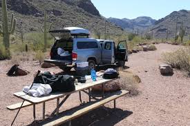 Organ pipe and saguaro cactus surround the campsites at alamo canyon campground. May 24 2016 Chiricahua National Monument Arizona Extremegeographer Com