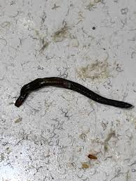 Image result for site:byggahus.se mask