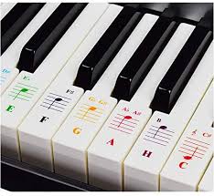 Pdf drive investigated dozens of problems and listed the biggest global. Klavieraufkleber Fur Keyboards Mit 49 61 76 88 Tasten Transparent Und Entfernbar Amazon De Musikinstrumente