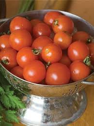 This variety is known to bear fruit dependably through summer weather. Super Sweet 100 Cherry Tomato The Super Sweet 100 Is The Classic Red Cherry Tomato With Incredibly Sweet Taste The Cherry Tomato Plant Cherry Tomatoes Tomato