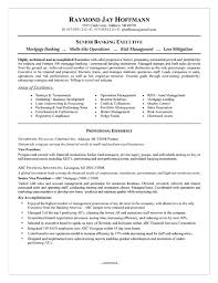 Successful personal banker with a proven history of establishing valuable relationships with each client. 18 Best Banking Sample Resume Templates Wisestep