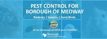 A quick breakdown of pest analysis. Medway Pest Control Home Facebook