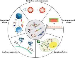 The age of the earth is about 4.54 billion years. Biomimetic Delivery Of Signals For Bone Tissue Engineering Bone Research