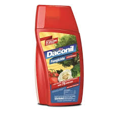 Check spelling or type a new query. Fungicide Lawn Garden At Lowes Com