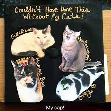 Cat Themed Grad Cap Idea Follow Motivation2study For Daily Inspiration College Grad Cap Ideas Graduation Cap Decoration Grad Cap Designs