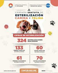 Impulsa Ana Paty Peralta exitosa campaña de esterilización