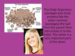 We did not find results for: Cell Volleyball Team Kendall Jones D Dyer Ppt Video Online Download