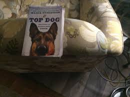 amazing story of war dogs one in particular the job these dogs do and their handlers are amazing good insight into their world war dogs amazing stories dogs