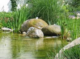 Quellstein Jpg 1600 1200 Wasserspiel Garten Wasser Im Garten Gartenbau