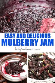 Add in sugar, continue stirring, and heat again to a full bubbling boil. How To Make Mulberry Jam Lady Lee S Home