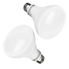 65w Replacement Dimmable E26 Led Bulbs 750lm Daylight White Le