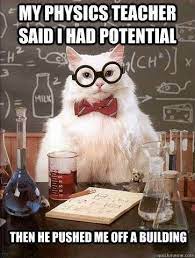 Chemistry Cat Nerdy Jokes Chemistry Cat Nerd Humor