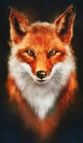 Club de deportes cobreloa s.a.d.p. Klicke Um Das Bild Zu Sehen 20 D Un Travail Va Produire 80 D Un Resultat Dun Produire Resultat Travail Va Fox Painting Fox Drawing Fox Art