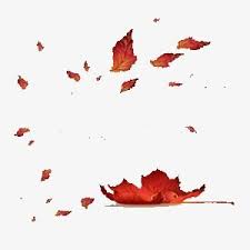 Falling Leaves Png And Clipart Autumn Leaves Photoshop Overlays Background Images Wallpapers