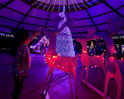 Winter Wonderland Of Lights Winter Wonderland Winter Wonderland Lights Toledo Bend