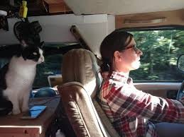 Be aware if your cat is prone to moving about your rolling home while you are in motion. Guest Post Guide To Vanlife With Cats Tiny House Tiny Footprint