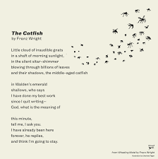 We did not find results for: Borzoi Reader