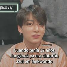 No Se Si Sean Los Mismos Colores Que En El Karate Creo Que No Soy Cinta Morada Avanzada En Karate A Pesar De Que Ya Ni Soy Una Nina Bts