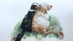 In these page, we also have variety of images available. Painting Watercolor Pet Portraits By Christine Aria Hostetler Creativebug