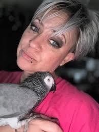 Should I board or have my son watch my grey bird?