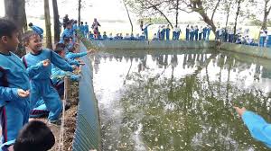 Outbound murah, outbound termurah di jawa timur, outbound sidoarjo, wisata sekolah. Outbound Edukasi Alas Prambon Sidoarjo 082335611999 085728945777
