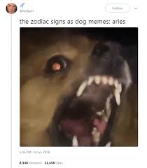 The 12 Zodiac Signs As Dog Memes Zodiac Zodiac Funny Dog Memes