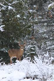 Vieilles mamies en rut granny vieille vieilles grannies. 158 980 Poses Photos Free Royalty Free Stock Photos From Dreamstime