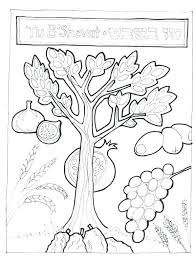 Looking for a super cool tu beshvat coloring page? Tu B Shvat Coloring Eten