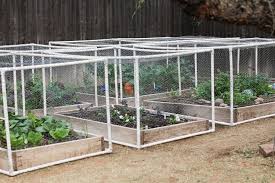 The raised garden bed is a boxy unit that allows you to plant flowers, herbs, and vegetables just about anywhere outdoors. Gardens That Heal Two Botanical Gardens Reach Out To Their Communities Humble Seed Blog Seed That Fee Making Raised Garden Beds Raised Garden Garden Beds