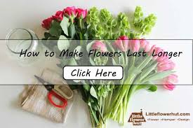 You might get seven to ten days out of flowers such as leucospermum and anthurium. how to choose flowers which will last. How To Make Flowers Last Longer Expert Florist Tips