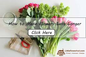Maybe you would like to learn more about one of these? How To Make Flowers Last Longer Expert Florist Tips