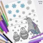This little forest dweller first appeared in my colorful woodland coloring ebook and. Raccoon Winter Coloring Page For Adults And Kids Easy Peasy And Fun
