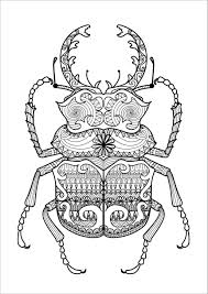 Find more vw beetle coloring. Zentangle Beetle Coloring Pages For Adult Coloringbay