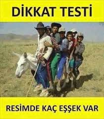 Ayhan Adli Kullanicinin Komik Panosundaki Pin Komik Komik Resimler Hayvanlar