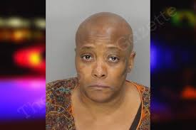 Renee Moser — Cobb County Jail Bookings