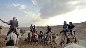 But with elephant rides banned a few years ago and a growing awareness that 'animals are not ours', as peta (people for the ethical treatment of animals) puts it, it seems timely to ask. Genesis Land Not The Real Thing Review Of Genesis Land Alon Palestinian Territories Tripadvisor