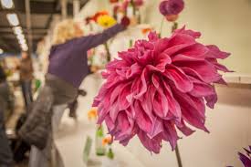 The cactus flowers during spring and summer and they are usually red, violet, pink or orange. Flowers 2021 Alaska State Fair