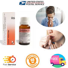 Dr. Reckeweg R6 (Gripfektan) (22ml) | eBay