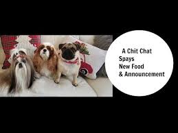 Today, there is a total of 5 tlc pet food coupons and discount deals. Tlc Dog Food Coupon 06 2021