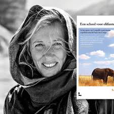 Geen pointe is de pointe