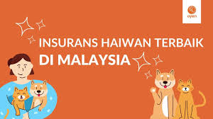 Fellowship of malaysian insurance institute ( fmii ). Oyen Insurans Pet Terbaik Di Malaysia Youtube
