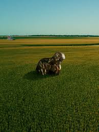 Thumbs up, keep up the new zealand! Why Are People Still Starving Mit Technology Review