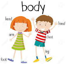 Check spelling or type a new query. Human Body Parts Diagram Illustration Royalty Free Cliparts Vectors And Stock Illustration Image 53197412