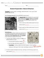 This is a cool little gizmo that helps students see how natural selection works from a first hand point of view. Natural Selection Gizmo 2 Name Date Student Exploration Natural Selection Vocabulary Biological Evolution Camouflage Industrial Revolution Lichen Course Hero