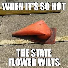 Melted Road Cone Meme Clean Memes Weather Memes Utah Memes