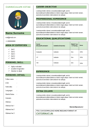 Write your resume and upload it immediately in less than 5 minutes. 48 Great Curriculum Vitae Templates Examples á… Templatelab