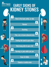 1,2 the t1 category means that the bladder cancer cells have grown into the lamina propria (the connective tissue between the bladder lining and the bladder muscle), but they have not grown into the muscle of the bladder wall. How To Identify The Early Signs Of Kidney Stones Apollo Spectra