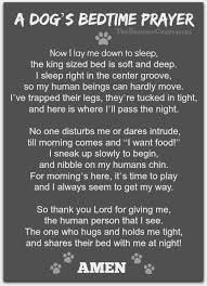 Dogs Bed Time Prayer This Is So True In My House Bedtime Prayer Pet Corner Dog Quotes